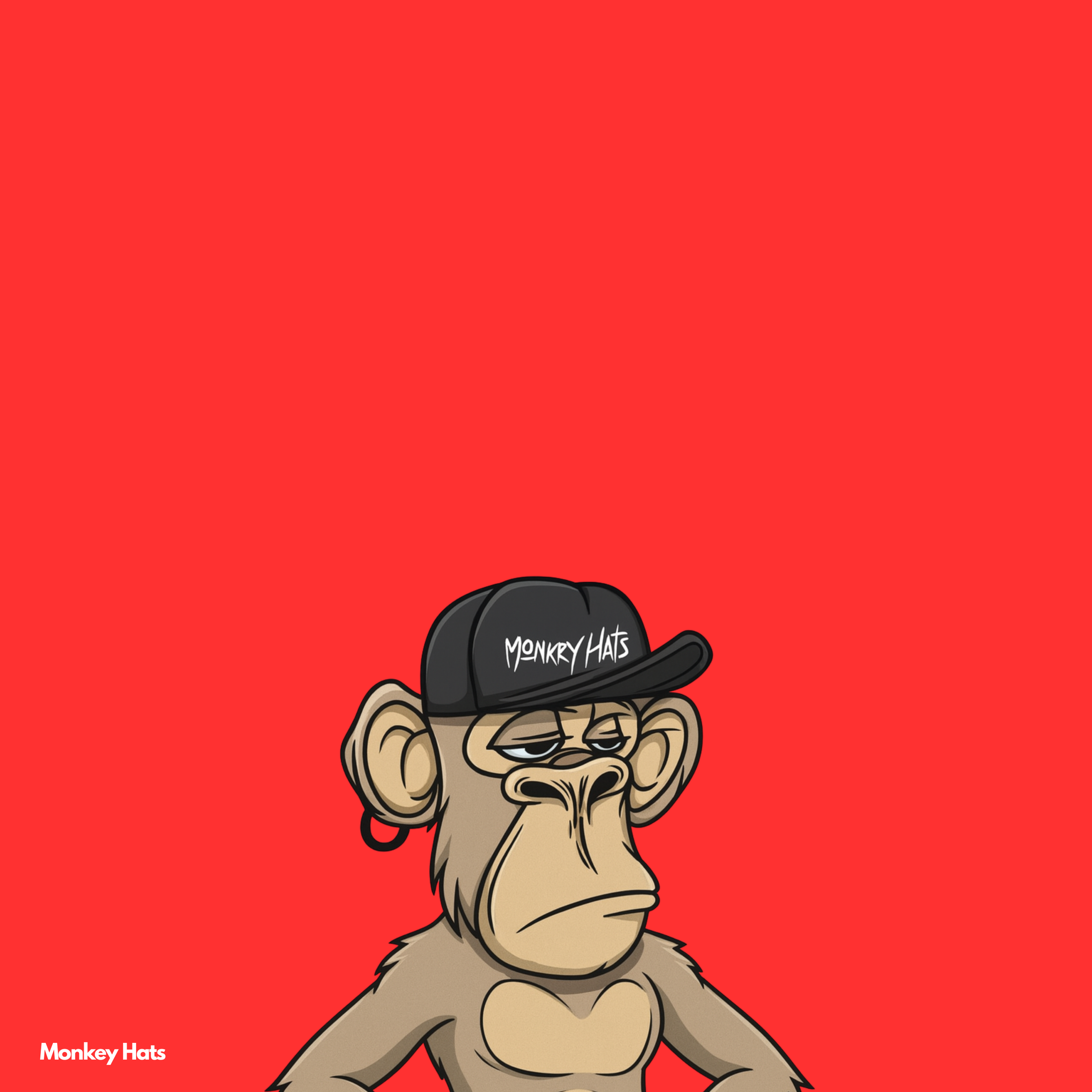 LAST CHANCE (ultimas piezas)