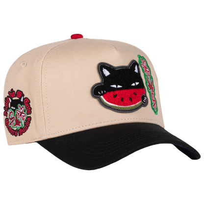 WATERMELON CAT BEIGE BLACK