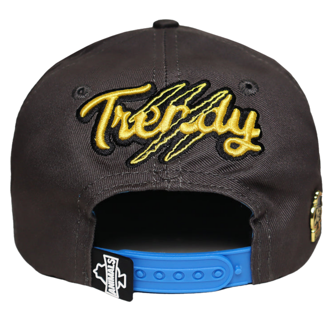 GORRA 1IRONTRENDY WOLF GRIS